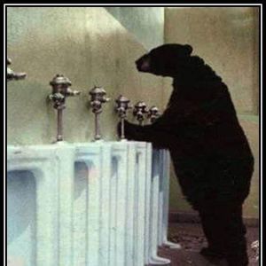 Meet your Posher, Roger